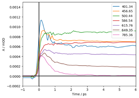 TA kinetics for selected wavelengths